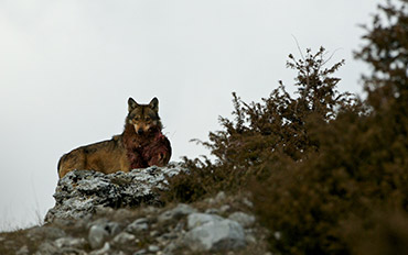 sciare in abruzzo